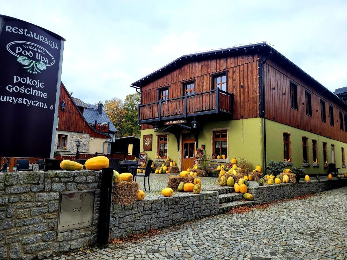 Bed and Breakfast Gosciniec Pod Lipa Шклярська Поремба Екстер'єр фото