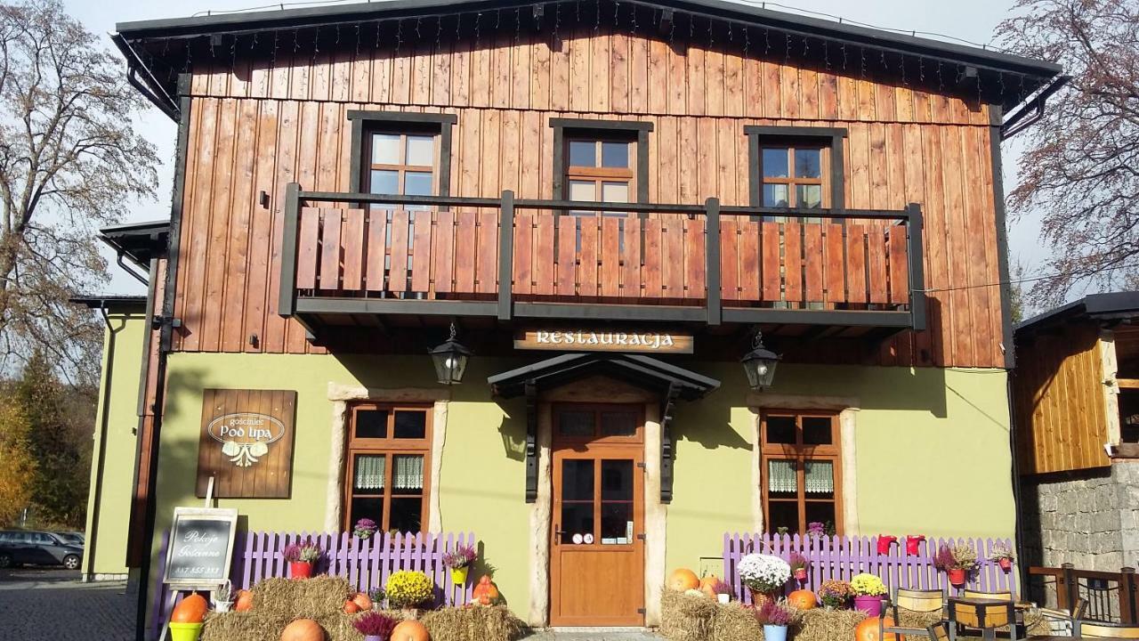 Bed and Breakfast Gosciniec Pod Lipa Шклярська Поремба Екстер'єр фото